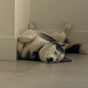 Meet your Posher, Daniel